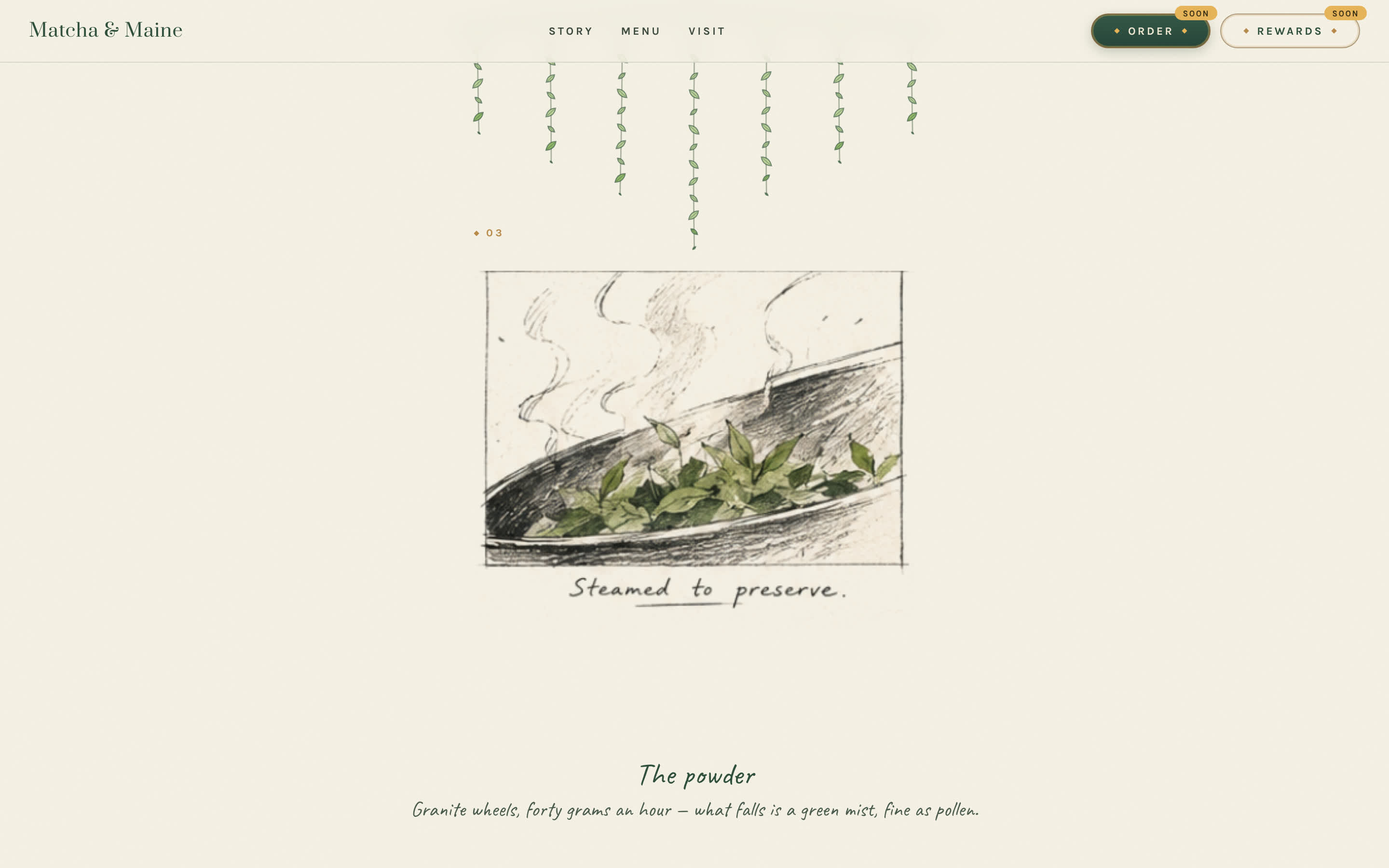 The scroll — story, menu, visit